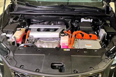 2021 Lexus NX NX 300h F SPORT Black Line